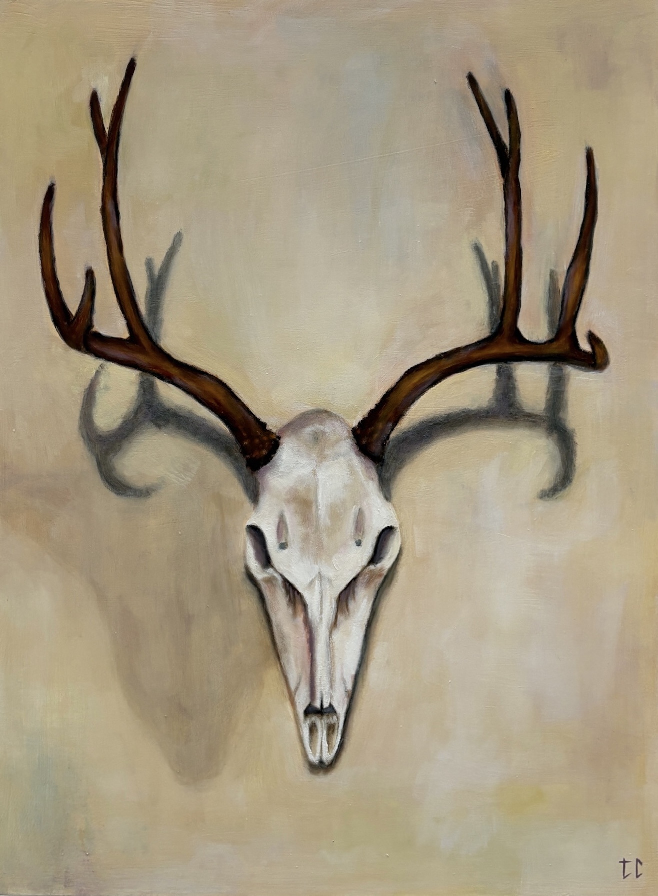 Oil painting of an animal skull with antlers on a light background