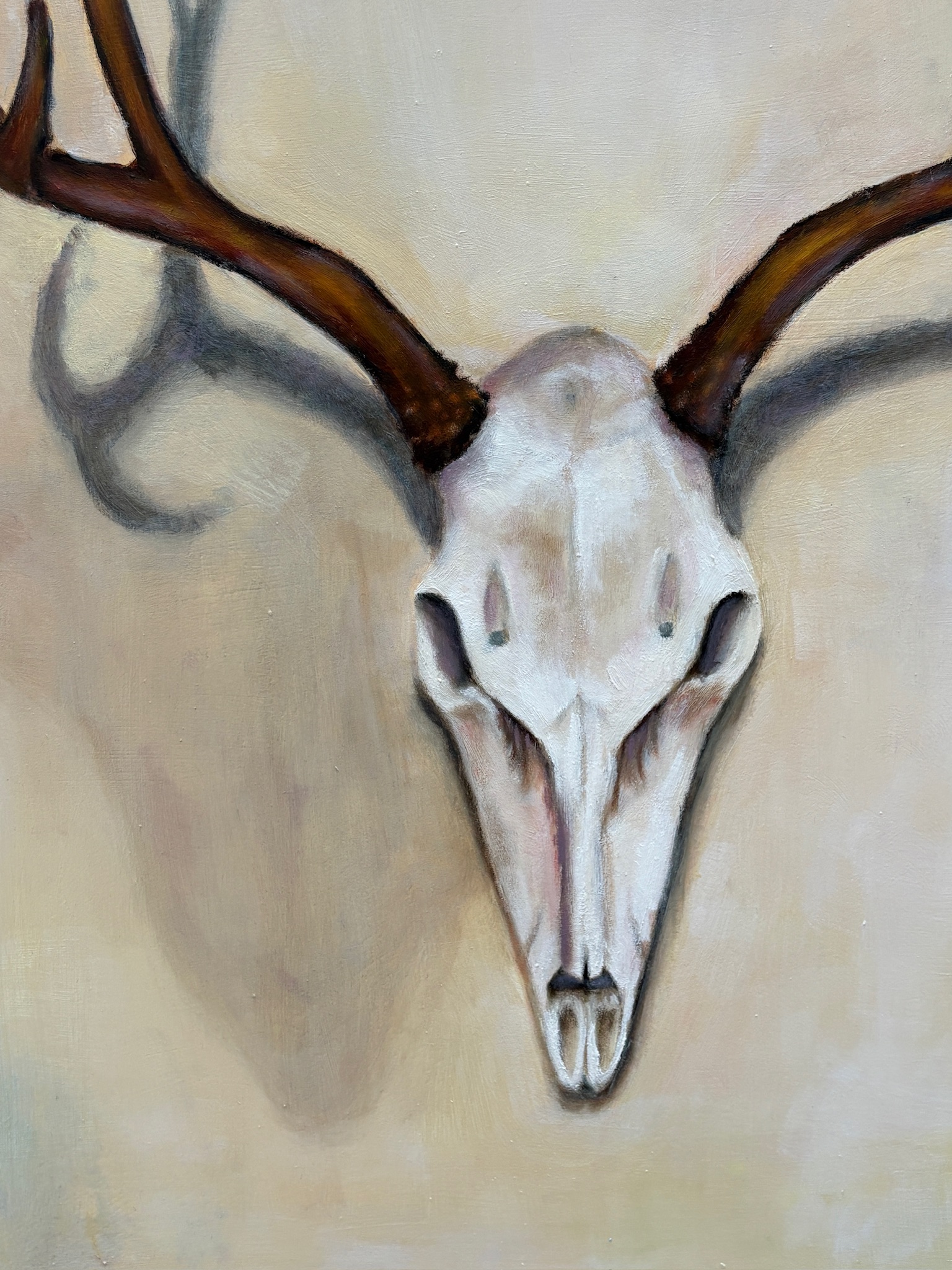 Oil painting of an animal skull with antlers on a light background detail view