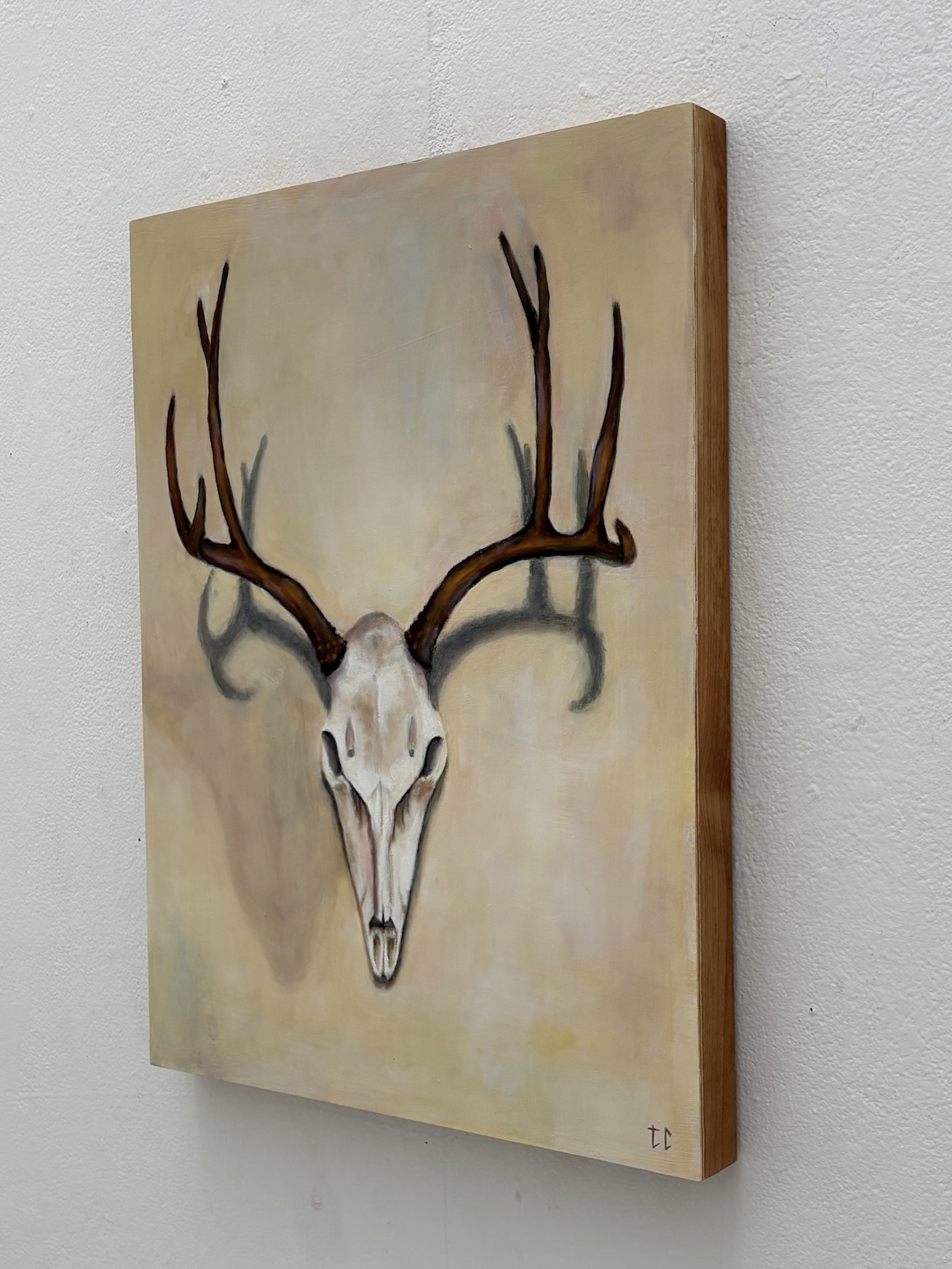 Oil painting of an animal skull with antlers on a light background detail view