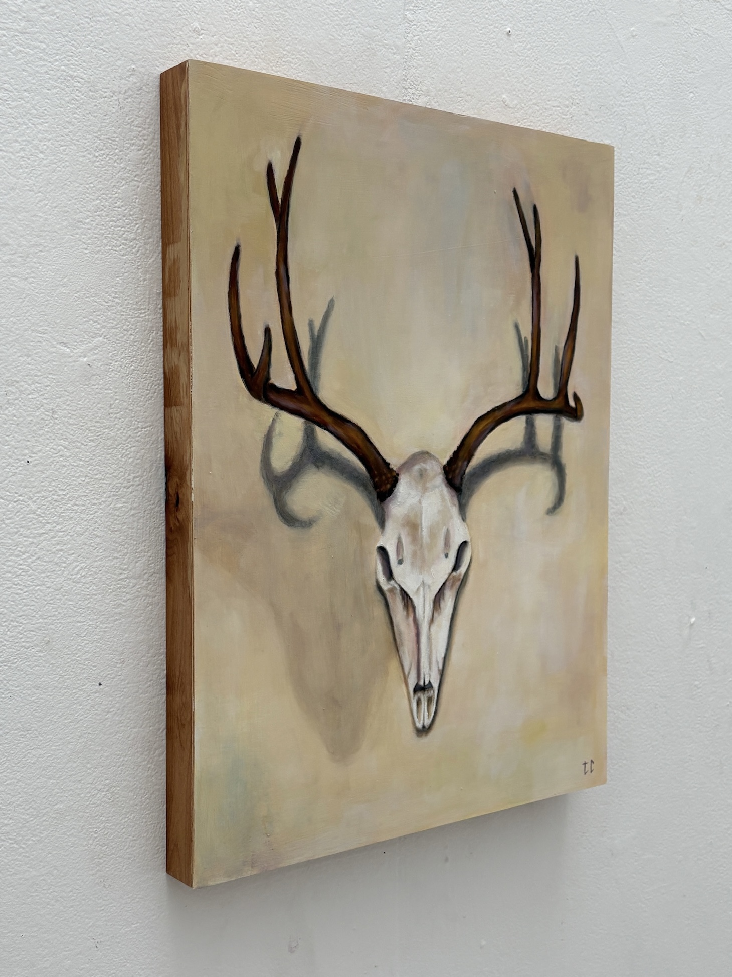 Oil painting of an animal skull with antlers on a light background detail view